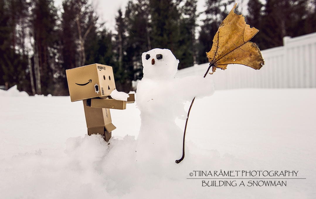 1_Building a snowman